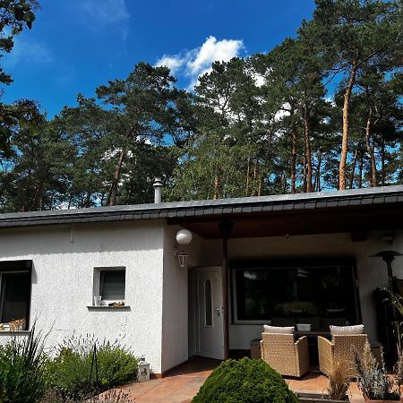 Kiefernblick Villa Plotzky Exterior foto