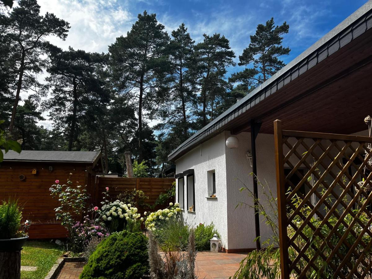Kiefernblick Villa Plotzky Exterior foto